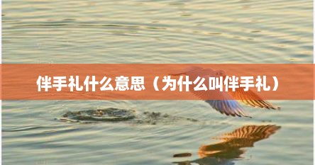 伴手礼什么意思（为什么叫伴手礼）