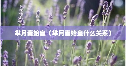 芈月秦始皇（芈月秦始皇什么关系）