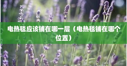 电热毯应该铺在哪一层（电热毯铺在哪个位置）