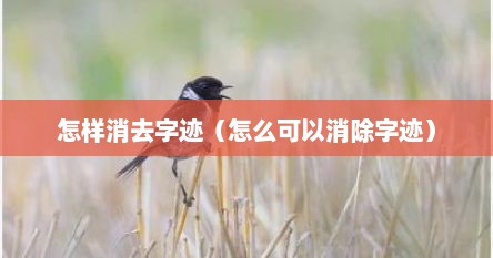 怎样消去字迹（怎么可以消除字迹）