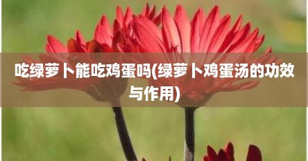 吃绿萝卜能吃鸡蛋吗(绿萝卜鸡蛋汤的功效与作用)