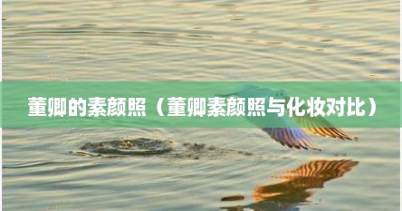 董卿的素颜照（董卿素颜照与化妆对比）