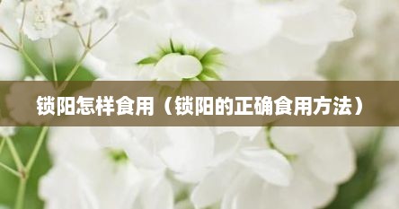 锁阳怎样食用（锁阳的正确食用方法）