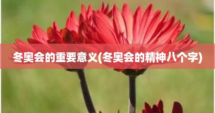 冬奥会的重要意义(冬奥会的精神八个字)