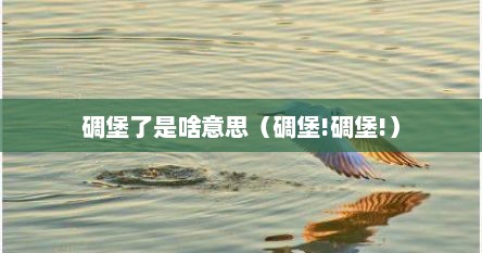 碉堡了是啥意思（碉堡!碉堡!）