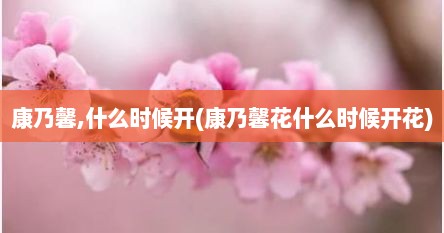 康乃馨,什么时候开(康乃馨花什么时候开花)