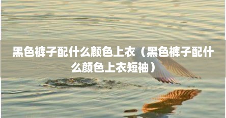 黑色裤子配什么颜色上衣（黑色裤子配什么颜色上衣短袖）