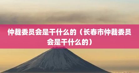 仲裁委员会是干什么的（长春市仲裁委员会是干什么的）