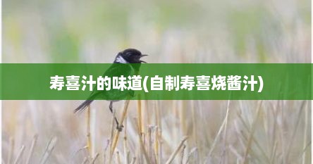 寿喜汁的味道(自制寿喜烧酱汁)