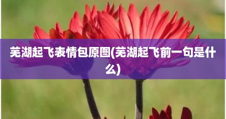芜湖起飞表情包原图(芜湖起飞前一句是什么)