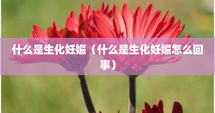 什么是生化妊娠（什么是生化妊娠怎么回事）
