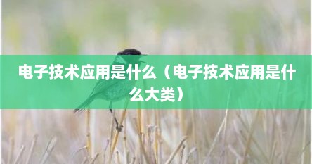 电子技术应用是什么（电子技术应用是什么大类）