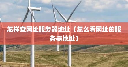 怎样查网址服务器地址（怎么看网址的服务器地址）