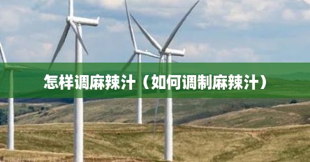 怎样调麻辣汁（如何调制麻辣汁）