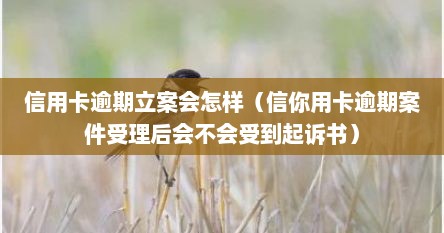 信用卡逾期立案会怎样（信你用卡逾期案件受理后会不会受到起诉书）