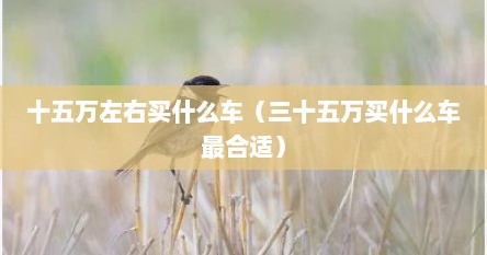 十五万左右买什么车（三十五万买什么车最合适）