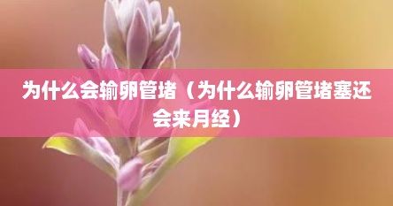 为什么会输卵管堵（为什么输卵管堵塞还会来月经）