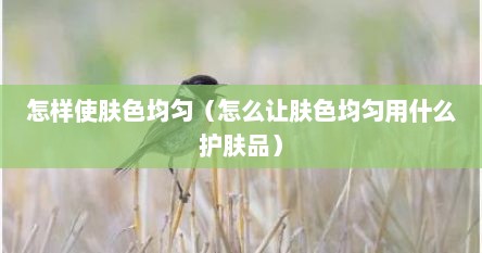 怎样使肤色均匀（怎么让肤色均匀用什么护肤品）