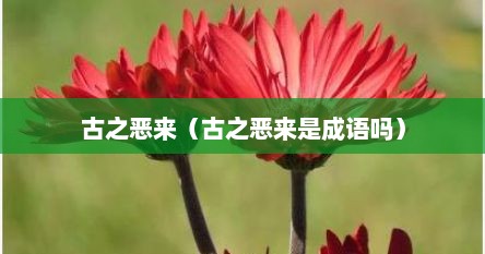 古之恶来（古之恶来是成语吗）