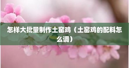 怎样大批量制作土窑鸡（土窑鸡的配料怎么调）