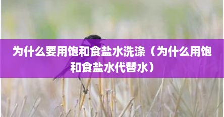 为什么要用饱和食盐水洗涤（为什么用饱和食盐水代替水）