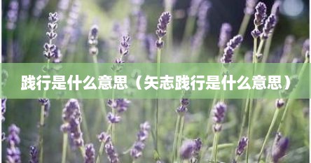 践行是什么意思（矢志践行是什么意思）