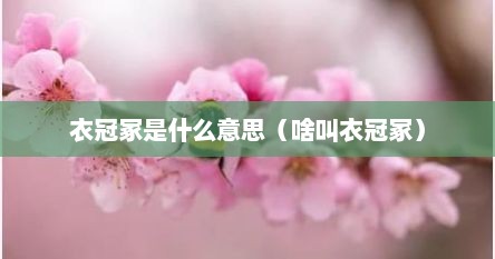 衣冠冢是什么意思（啥叫衣冠冢）