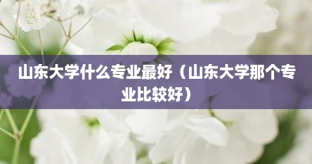 山东大学什么专业最好（山东大学那个专业比较好）