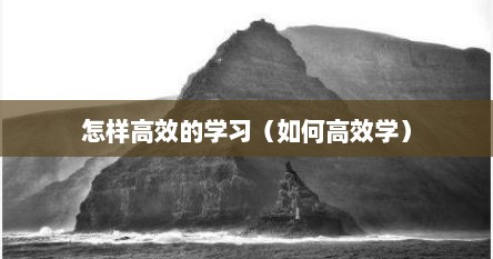 怎样高效的学习（如何高效学）