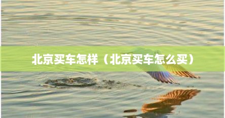 北京买车怎样（北京买车怎么买）