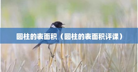 圆柱的表面积（圆柱的表面积评课）
