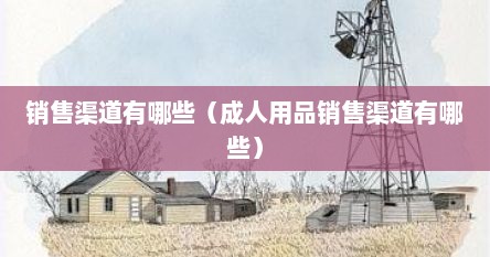 销售渠道有哪些（成人用品销售渠道有哪些）
