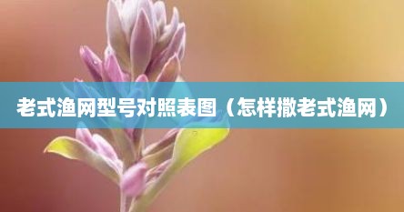 老式渔网型号对照表图（怎样撒老式渔网）