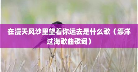 在漫天风沙里望着尔远去是什么歌（漂洋过海歌曲歌词）