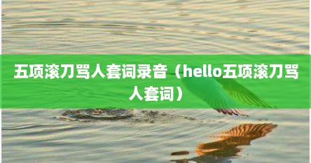 五项滚刀骂人套词录音（hello五项滚刀骂人套词）