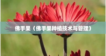 佛手果（佛手果种植技术与管理）