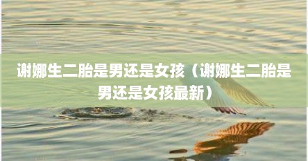 谢娜生二胎是男还是女孩（谢娜生二胎是男还是女孩最新）