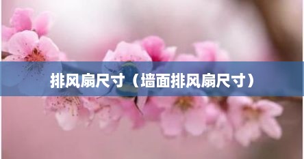 排风扇尺寸（墙面排风扇尺寸）