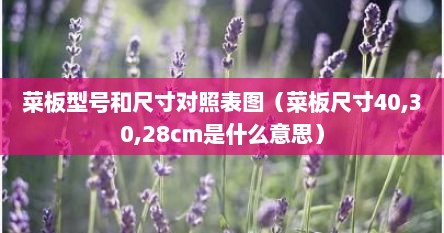 菜板型号和尺寸对照表图（菜板尺寸40,30,28cm是什么意思）