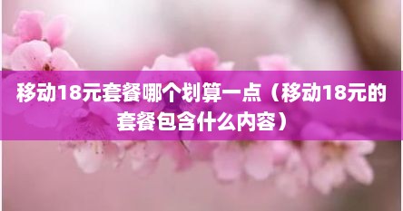 移动18元套餐哪个划算一点（移动18元的套餐包含什么内容）