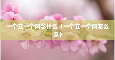 一个立一个风念什么（一个立一个风怎么念）