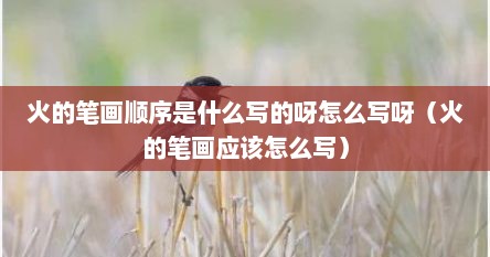 火的笔画顺序是什么写的呀怎么写呀（火的笔画应该怎么写）
