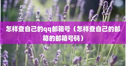 怎样查自己的qq邮箱号（怎样查自己的邮箱的邮箱号码）