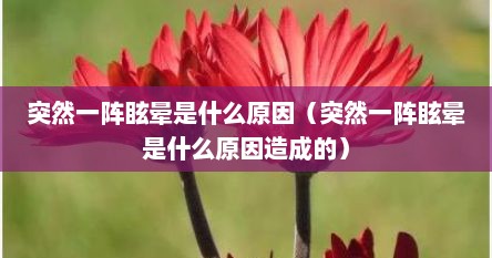 突然一阵眩晕是什么原因（突然一阵眩晕是什么原因造成的）