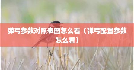 弹弓参数对照表图怎么看（弹弓配置参数怎么看）