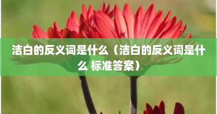 洁白的反义词是什么（洁白的反义词是什么 标准答案）