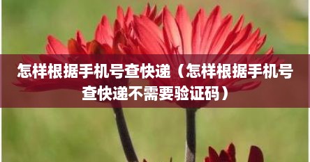 怎样根据手机号查快递（怎样根据手机号查快递不需要验证码）