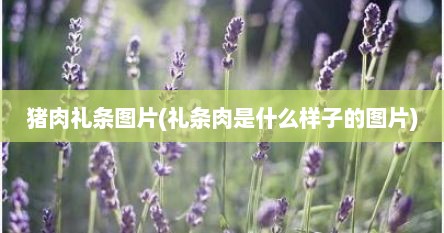 猪肉礼条图片(礼条肉是什么样子的图片)