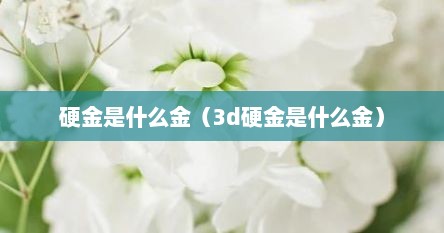 硬金是什么金（3d硬金是什么金）