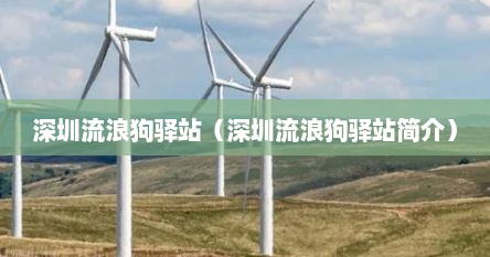 深圳流浪狗驿站（深圳流浪狗驿站简介）